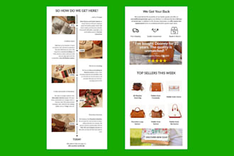 manage klaviyo email marketing campaign and flow