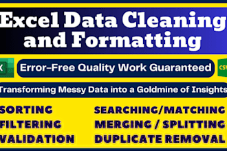 professionally clean, format, and organize your excel or CSV data