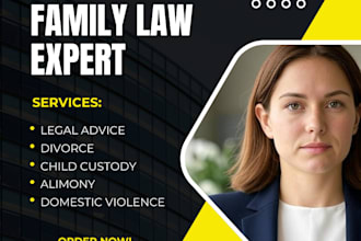 offer legal advice on divorce, child custody, and alimony as a US family lawyer