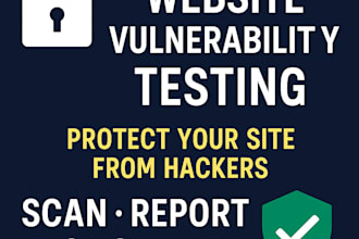 create a basic website security scan report