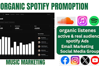 do organic spotify music promotion to 500k audience on spotify and apple music