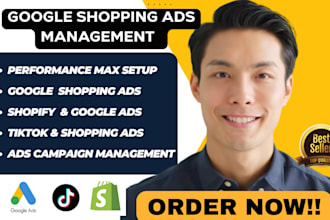 setup and manage goo gle shoppping ads, adwords, google ads performance max