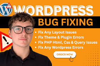 fix wordpress errors or bugs, issues, HTML, CSS, and elementor problems