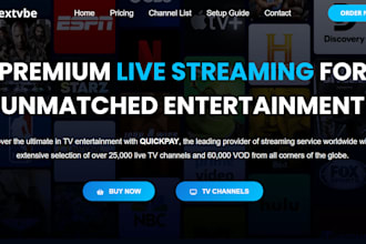 create a professional iptv website for your iptv reseller business on wordpress