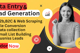 your virtual assistant for data entry, web scraping,realtor leads,web scraper