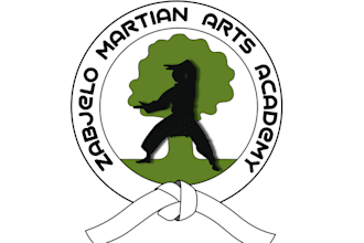 design amazing martial arts academy logo