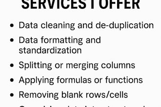 do data cleaning, data formatting, splitting in excel