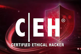 web application, mobile, thick client, network and API penetration testing
