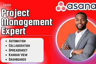 asana setup project reporting portfolio workflow automation ai dashboard expert