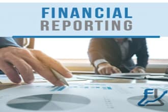 prepare professional financial statements at very low price