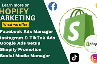 do ecommerce dropshipping marketing, ig promotion, fb ads, boost shopify sales