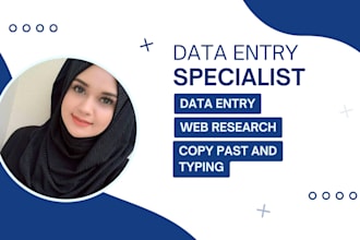 provide accurate and timely data entry services