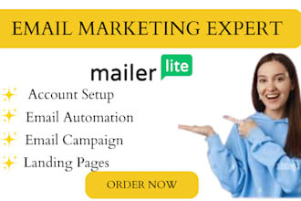 set up mailerlite email campaign forms automation and high converting landing