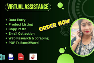 be virtual assistant in data entry and data scraping