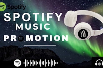 do professional spotify music promotion through ads campaign