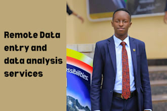 remotely perform data entry and data analysis role for your company