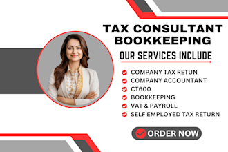 file your UK tax return, ct600, vat return, and prepare accounts for hmrc