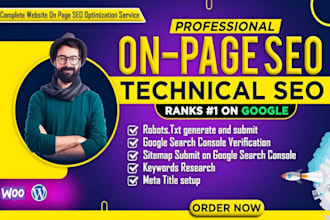 provide complete on page technical SEO services for your word press website