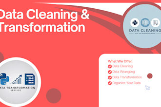 clean, wrangle, and transform your data with python