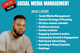 craft a powerful content plan bold brand marketing and a social media strategy