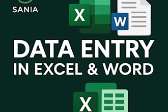 do fast data entry, typing, and file conversion in word and excel also voiceover