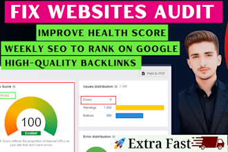 do website audit error fix and weekly SEO for google ranking