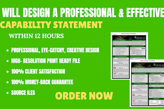 design a professional and effective capability statement within 12 hours