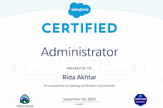 teach you, set up, and manage your salesforce CRM efficiently