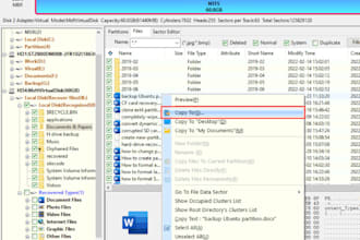 perform data recovery to retrieve and restore all file types from any storage