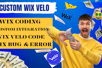 custom wix velo, wix velo code, wix cms wix design wix feature wix database