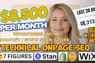 do  onpage store audit for shopify, wordpress, sqaurespace, godaddy, wix