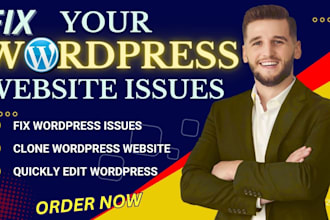 fix wordpress issues, quickly edit wordpress, clone wordpress, responsive, divi
