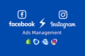 set up facebook and instagram ads campaign for your business