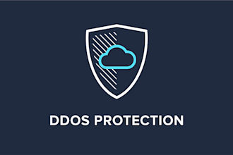 do ddos attack to secure a wordpress site and boost site protection