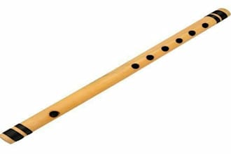 record pro flute, violin, strings or sax for your track