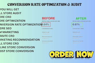 do thorough audit for ecommerce websites conversion rate optimization cro