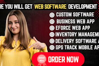 be software developer web app eforce software police software billing software