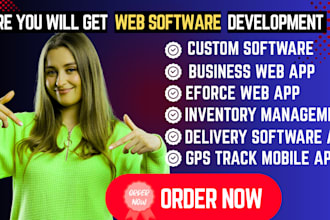 develop web app software solutions for data collection processing presentation