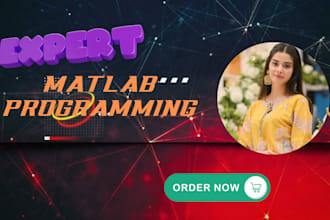 do your matlab, python programming, image processing and gui tasks
