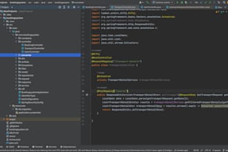 develop and fix java spring boot backend and rest apis