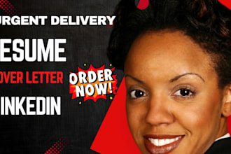 write an executive resume, professional resume, cover letter