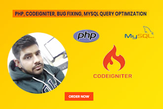 do bug fixing and custom web development for php codeigniter