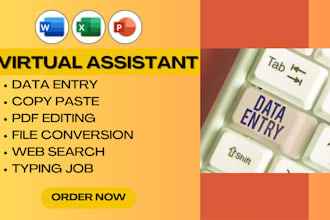 data entry, web research, copy paste and typing job