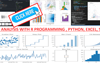 do data analysis , r programming , stata , python , excel