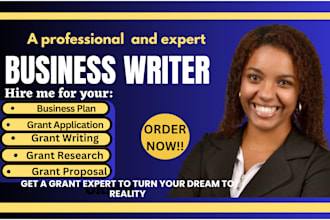 write investor ready business plan for startup, sba grant and financial analysis