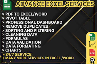 excel data entry ,data cleaning ,sorting ,filtering , charts , pivot table etc