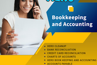 do xero online bookkeeping and reconciliation