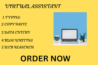 long term executive virtual assistant administrative  personal social media VA