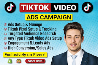 create and manage tiktok ads campaign for leads and sales