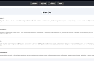 develop professional web with cybersecurity